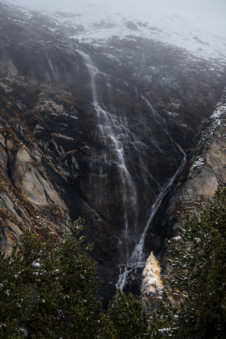 Baum vor Wasserfall