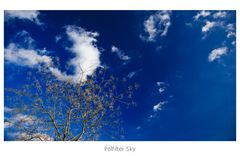 Baum vor wunderschönem blauem Himmel