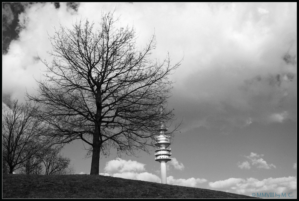 Baum vs. Turm