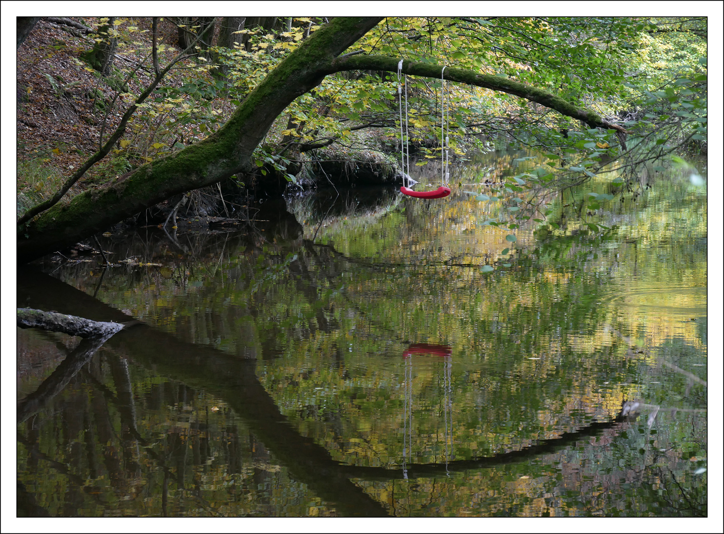 Baum-Wasser-Schaukel