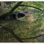 Baum-Wasser-Schaukel