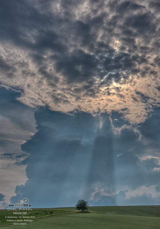 Baum-Wolke