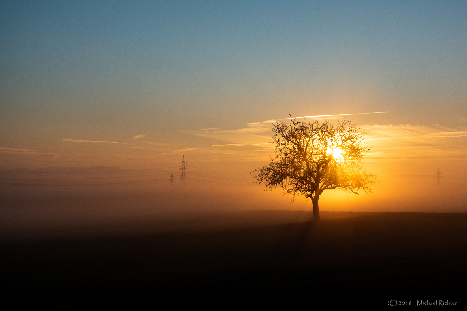 Baum4 - Sonnenaufgang