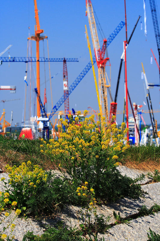 Bauma 2007 #1