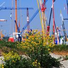 Bauma 2007 #1