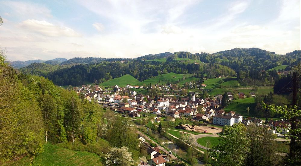 Bauma im Frühling