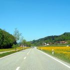 Bauma Tösstal im Frühling