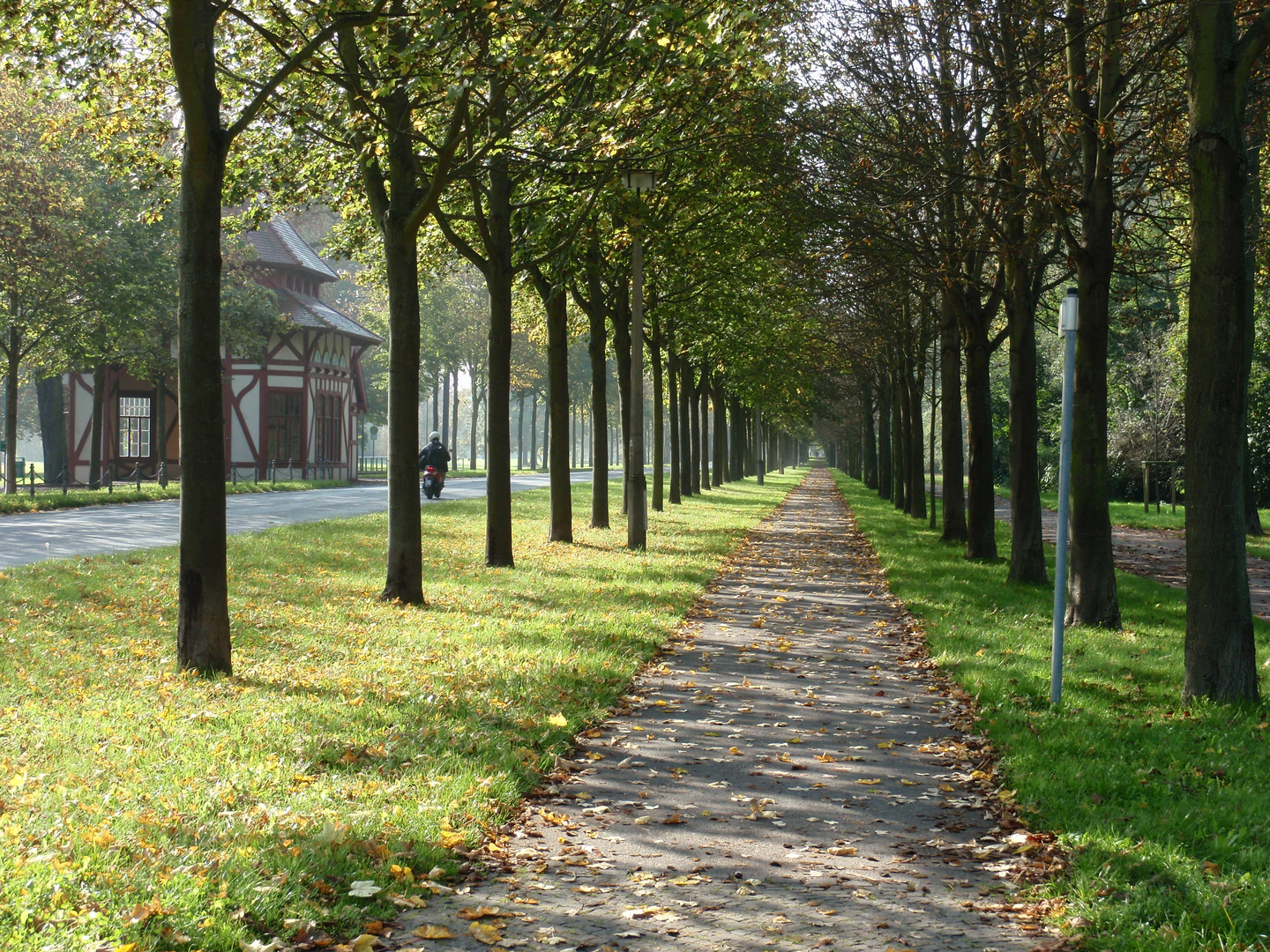 Baumallee Foto & Bild | landschaft, kulturlandschaften, baumallee