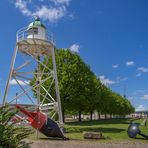 Baumallee am Museumshafen