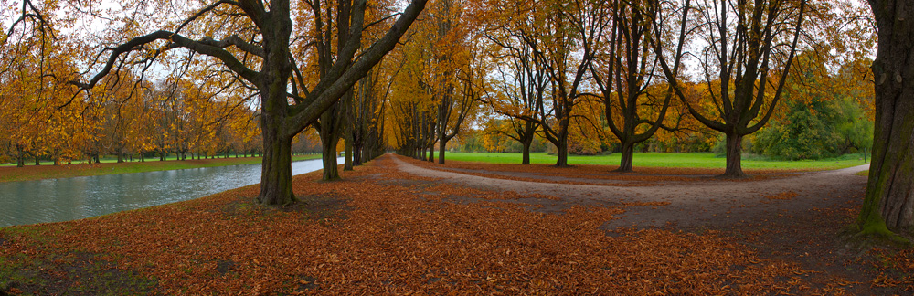 Baumallee im Herbst