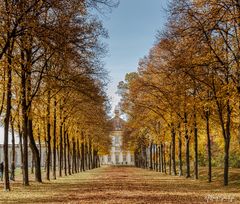 Baumallee im Schlosspark Oberschleissheim