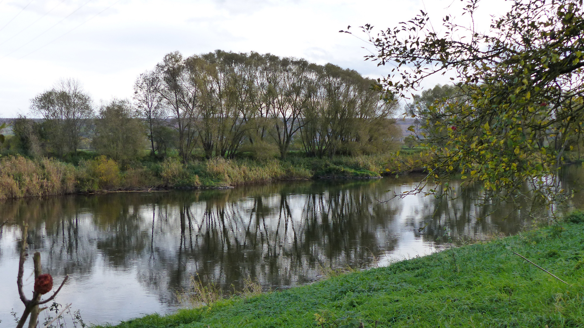 Baumallee im Spiegel der Weser