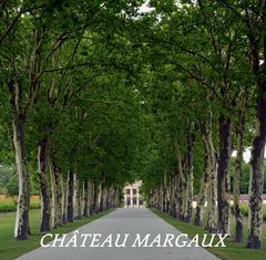 BAUMALLEE ZUM CHÂTEAU MARGAUX