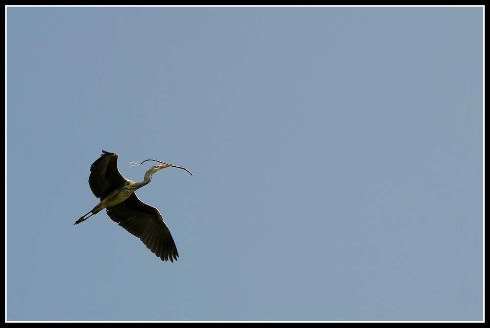 Baumaterial im Anflug