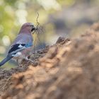 Baumaterialbeschaffung auf einer Baustelle