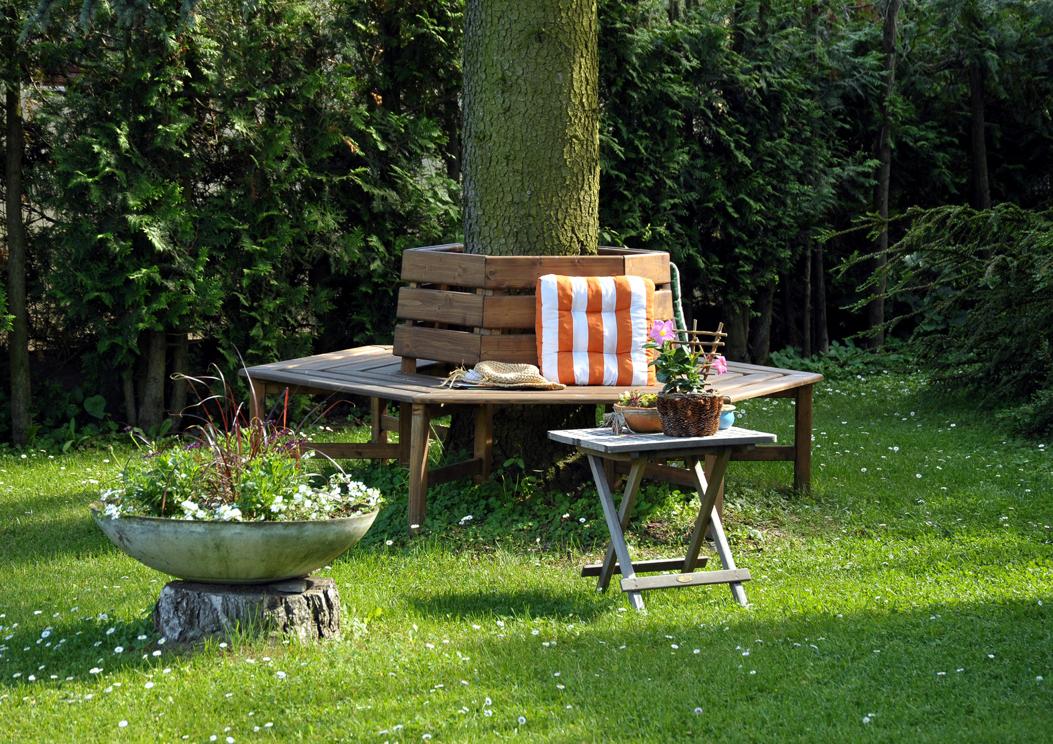 Garten Baumbank Baumbank im Garten Foto & Bild | landschaft, garten- & parklandschaften