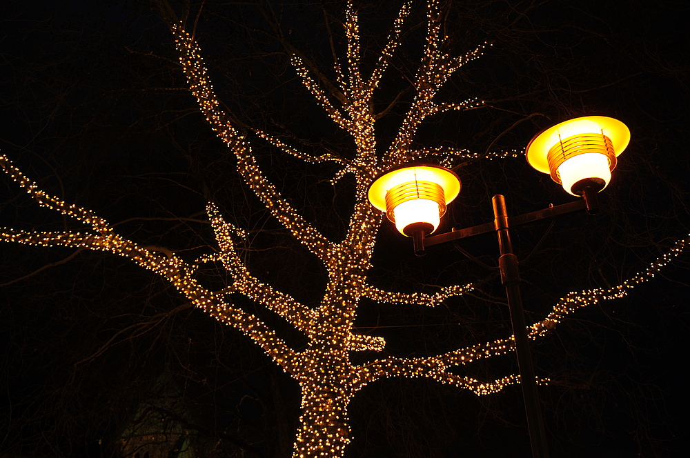 Baumbeleuchtung Weihnachtsmarkt Essen