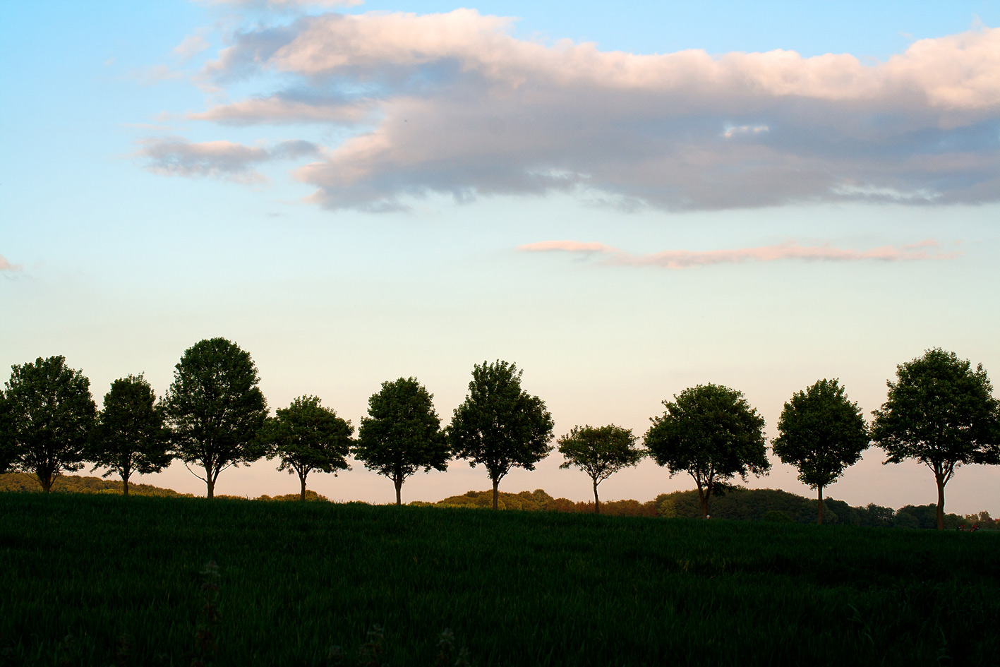 Baumberg - Allee