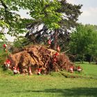 Baumberg besteigen