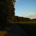 Baumberge im Herbst, Münsterland