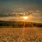 Baumberger Sonnenuntergang