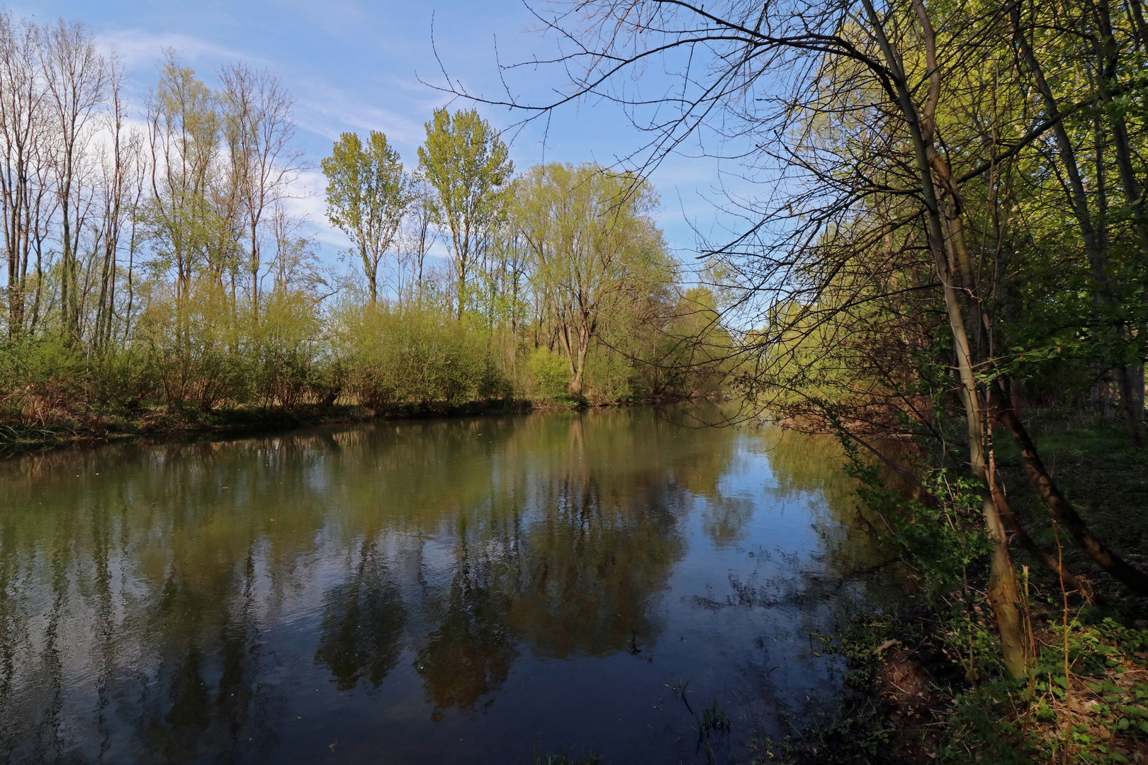 Baumbestandene Ufer