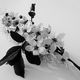 Blumen monochrome