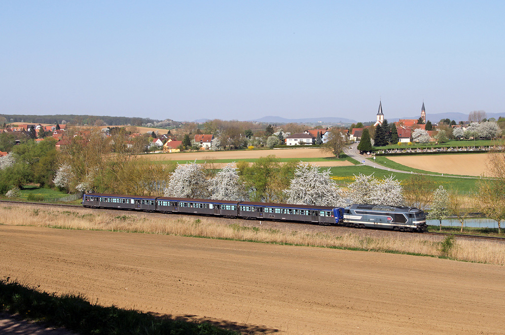 Baumblüte im Elsass