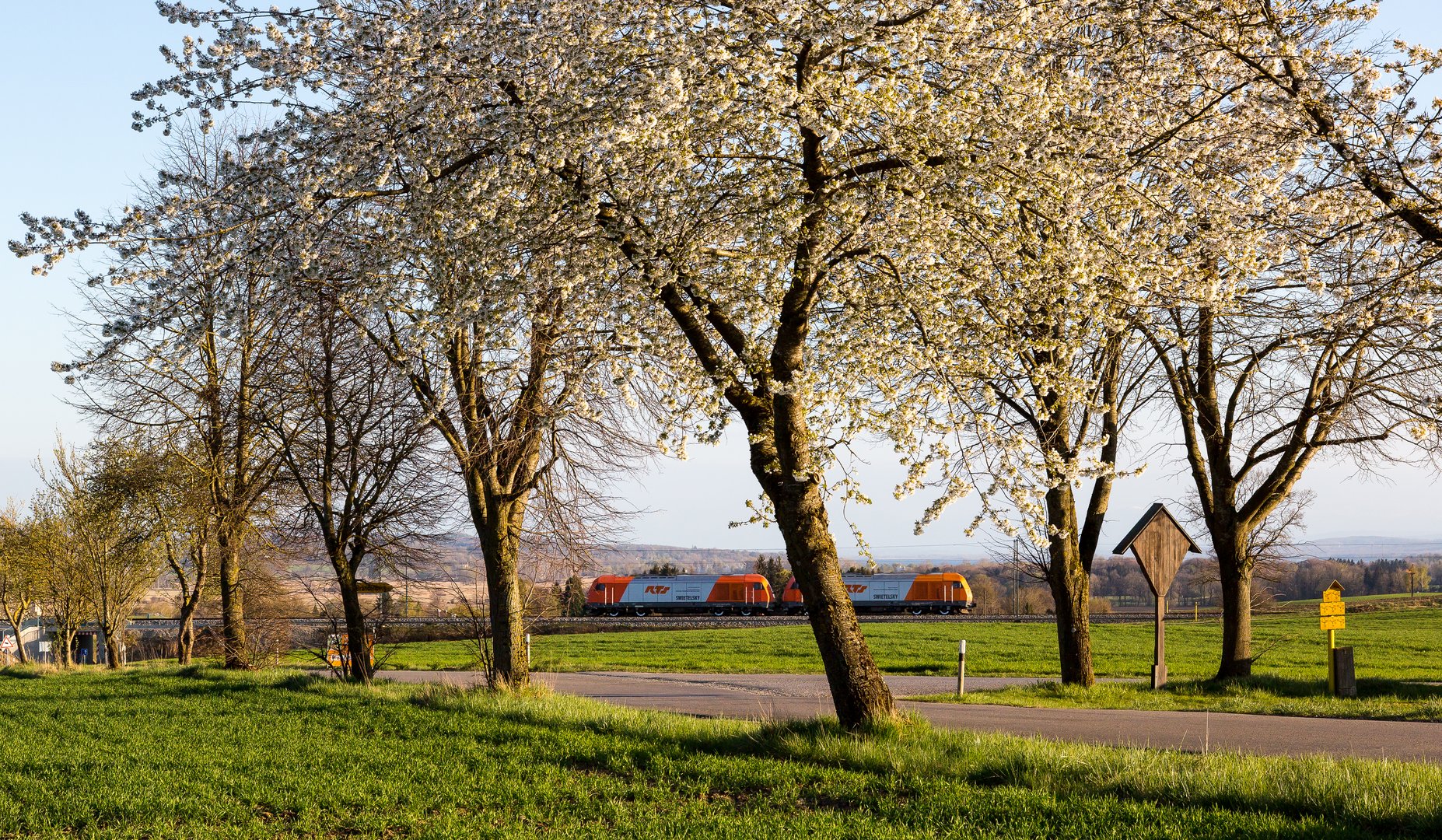 Baumblüte mit Bauzugloks