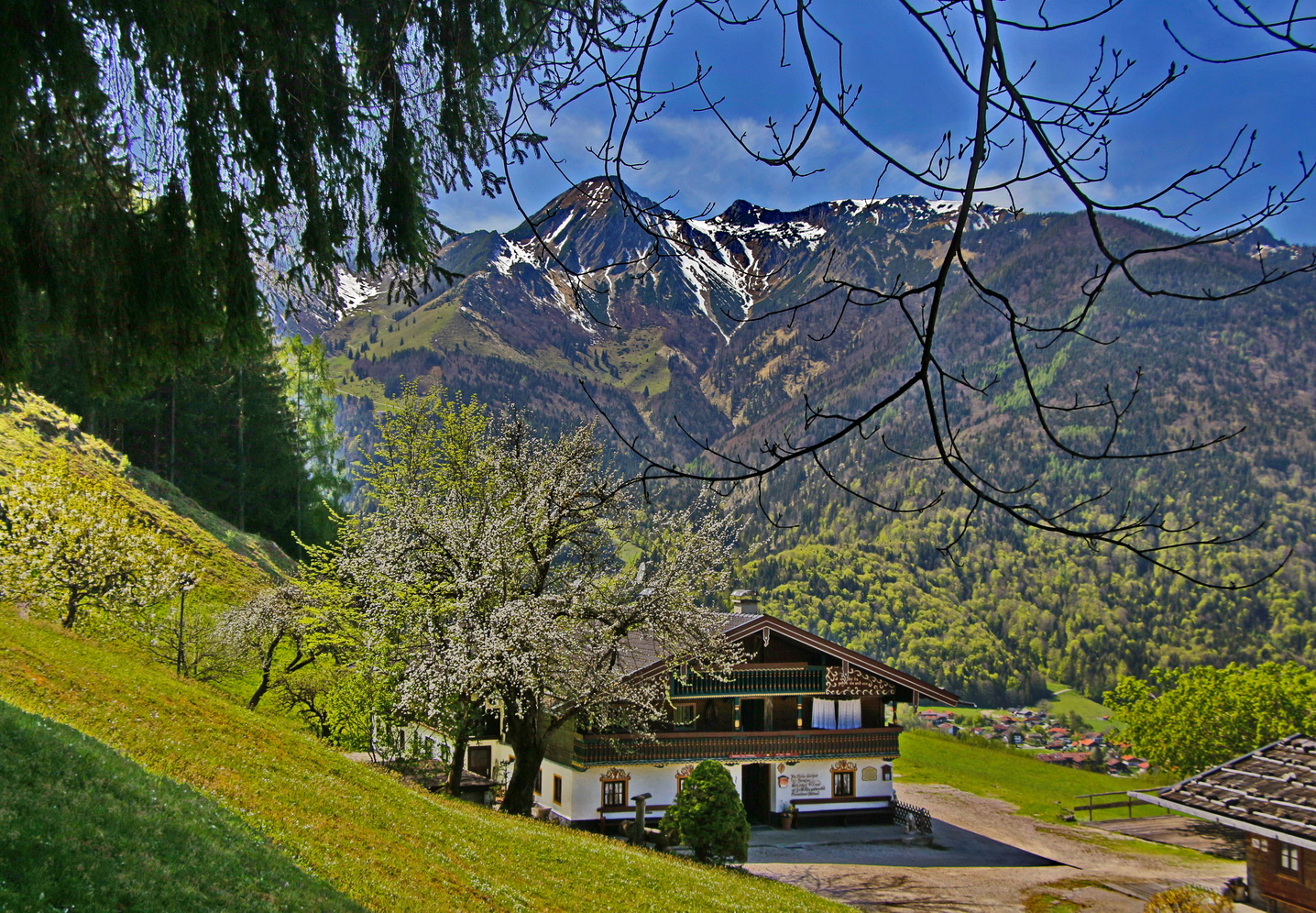 Baumblüten offen / Gasthof geschlossen.