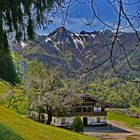 Baumblüten offen / Gasthof geschlossen.