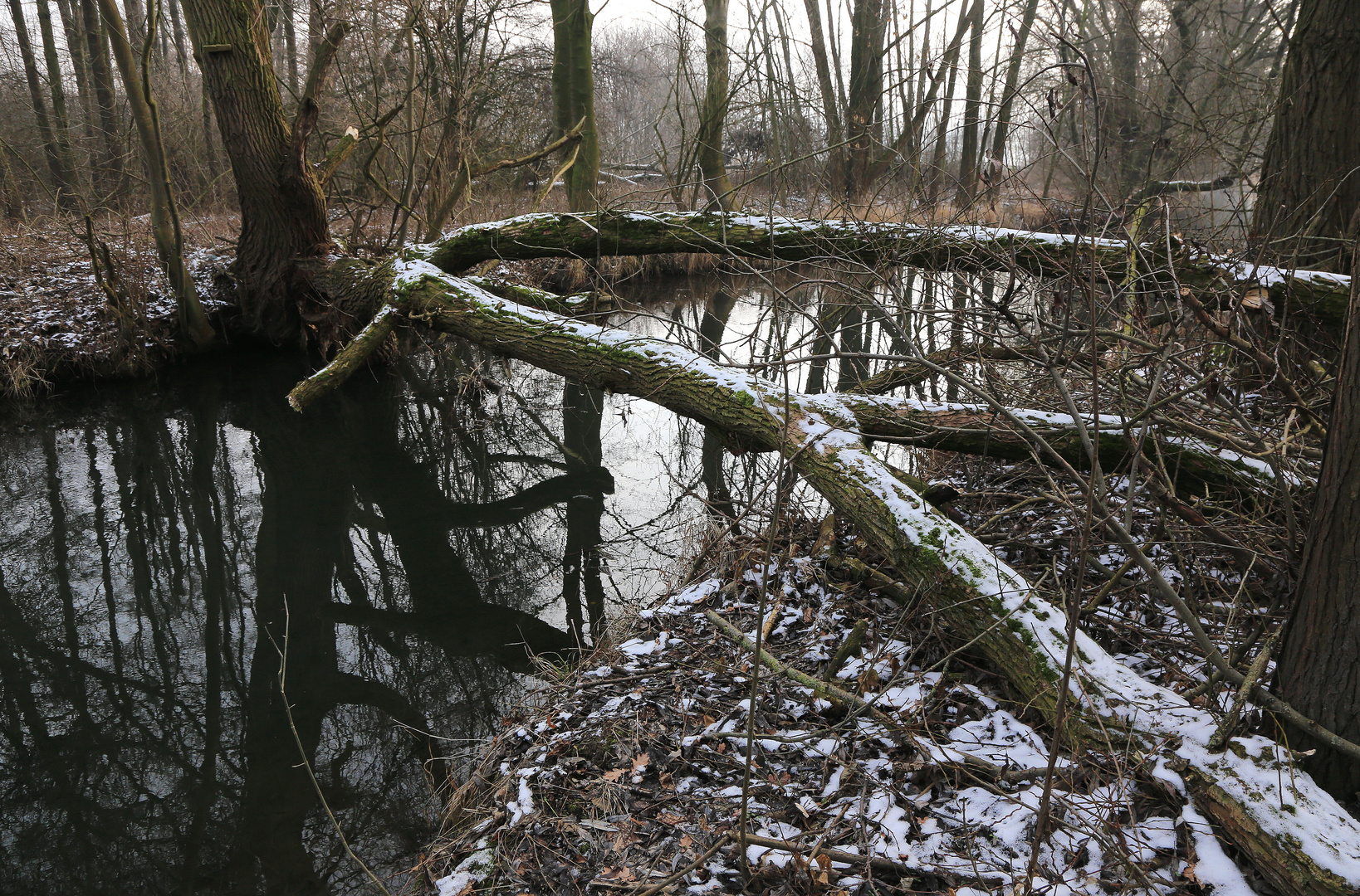 baumbrücke