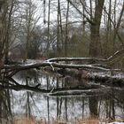 baumbrücke