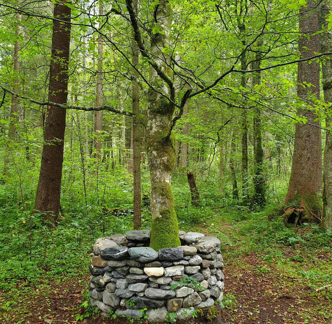 Baumbrunnen