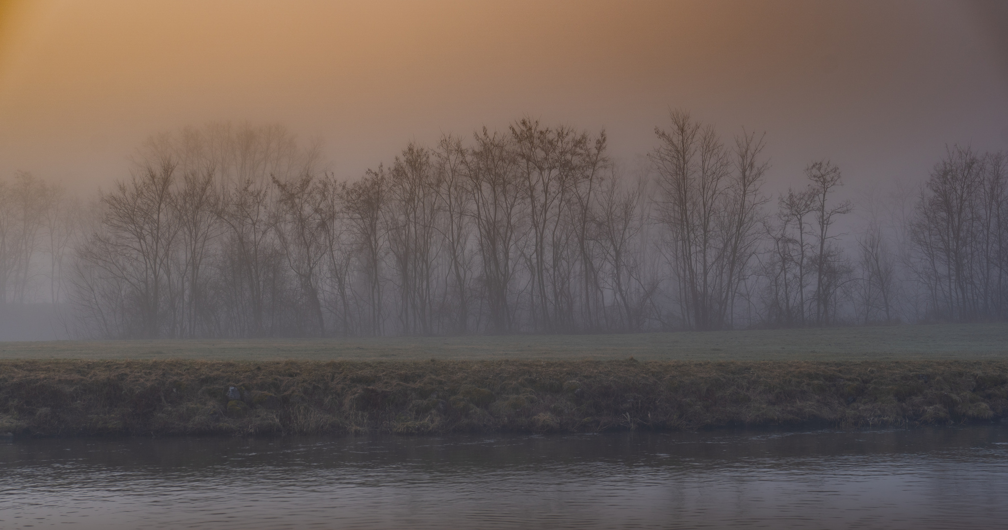 Ba?ume am Kanal