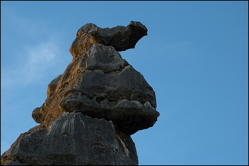 Baumeister Natur - Der mürrische Saurier