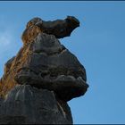 Baumeister Natur - Der mürrische Saurier