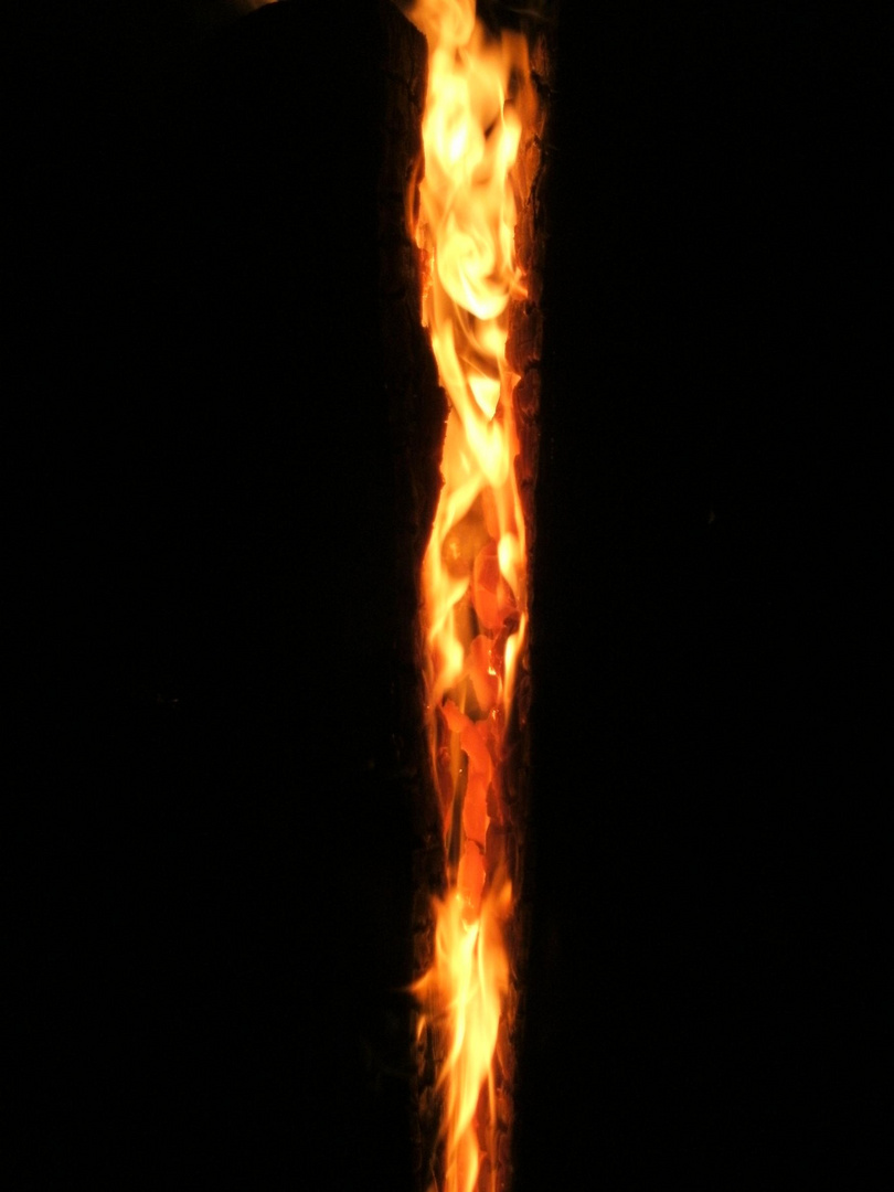 Baumfeuer