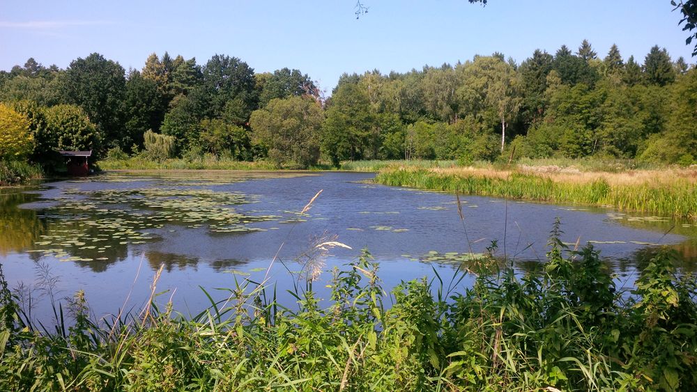 Baumgartener Paradiessee