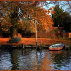 Baumgarteninsel an der Spree