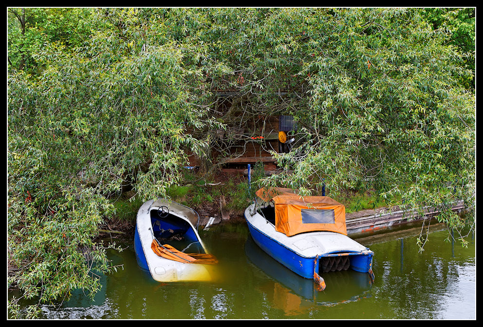 Baumgeborgene Boote