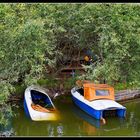 Baumgeborgene Boote