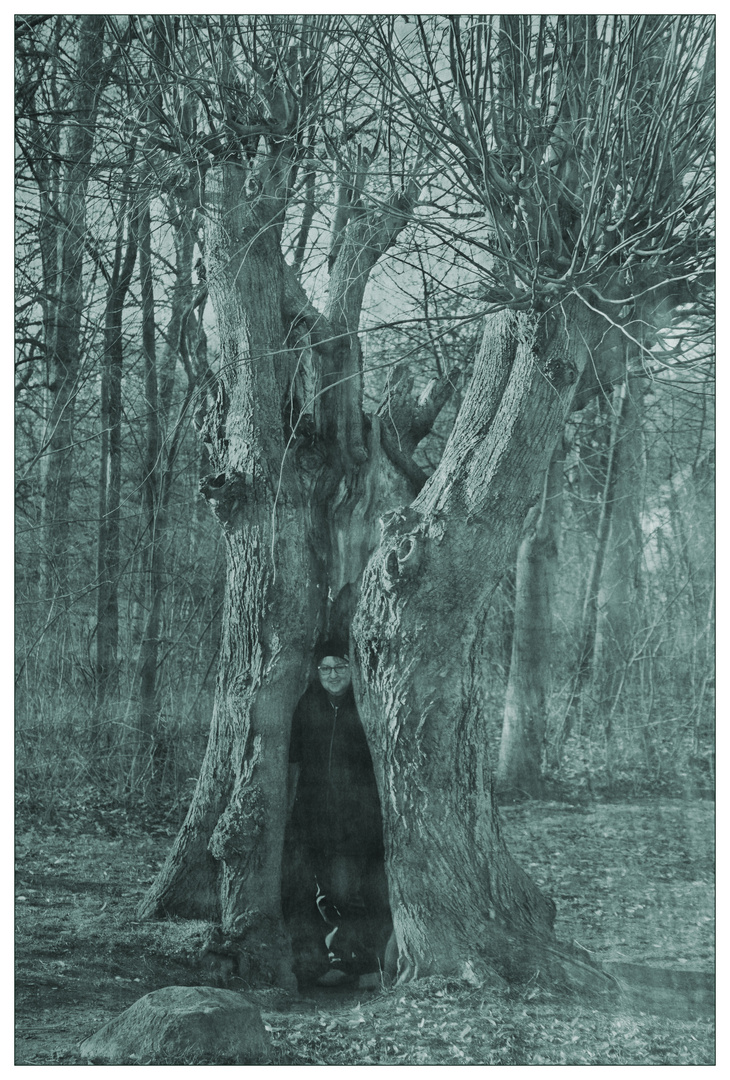 BaumGeist Foto & Bild fotos, spezial, dokumentation Bilder auf