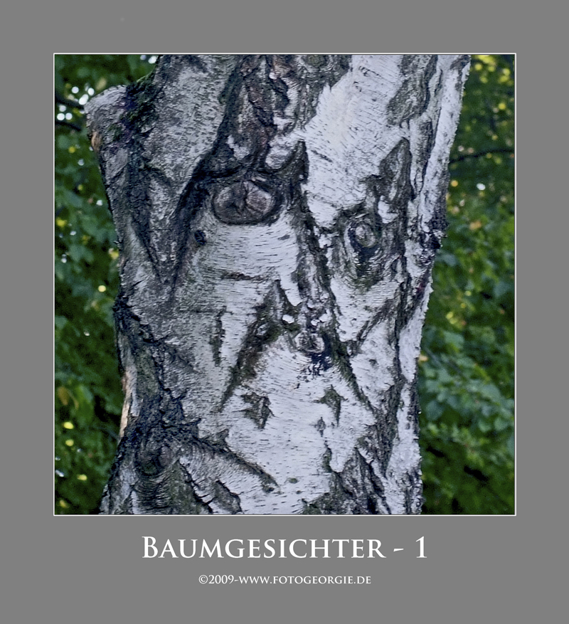 Baumgesichter - 1