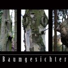 Baumgesichter