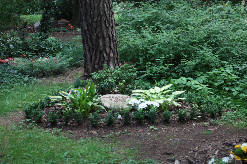 Baumgrab auf dem Heidefriedhof