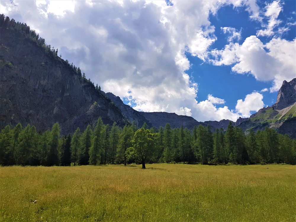 Baumgrenze Foto & Bild landschaft, berge, bäume Bilder auf