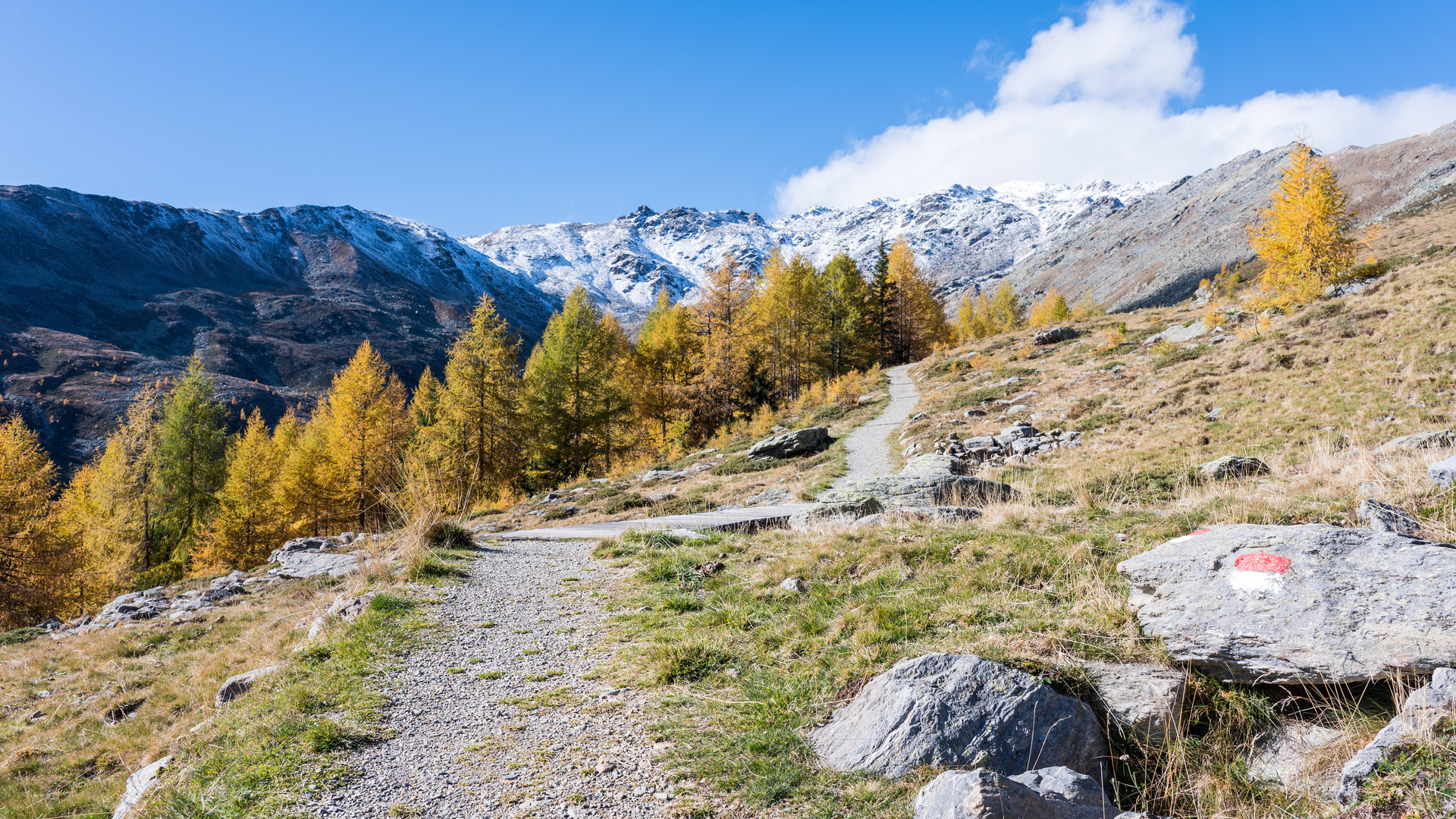 Baumgrenze im Ultental