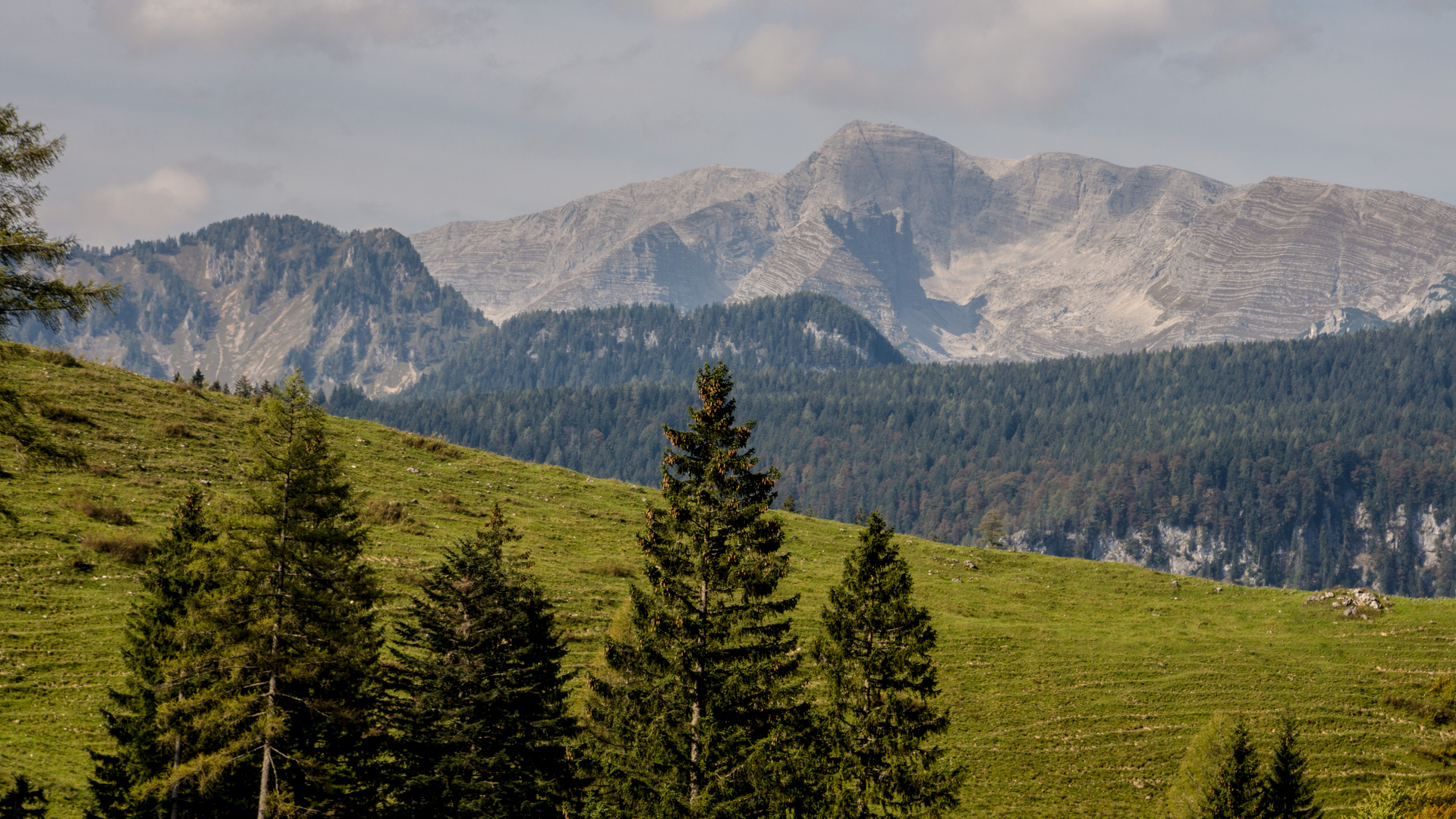 Baumgrenze und darüber hinaus