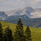 Baumgrenze und darüber hinaus